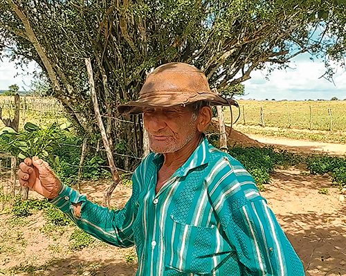 Pedro Santinho, 91 anos, Tucano, Bahia/ Foto: Biaggio Talento/Helenita Hollanda