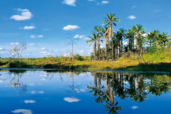 A foto revela a beleza da paisagem/Foto: Marco C. Pereira-Sara Wong/Got2Globe