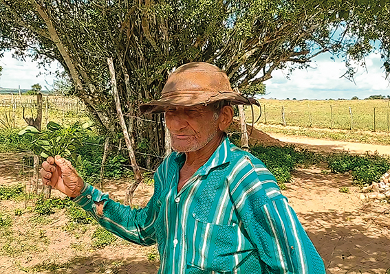 Pedro Santinho, 91 anos, Tucano, Bahia/ Foto: Biaggio Talento/Helenita Hollanda