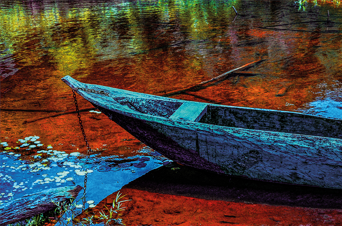 Pantanal de Marimbus, na Chapada Diamantina, Bahia